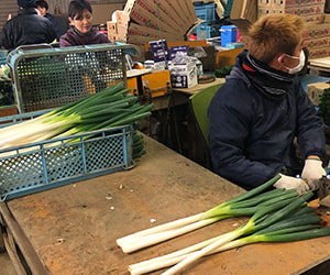 技能実習生＿受け入れ企業で働く＿熊本県S建設様