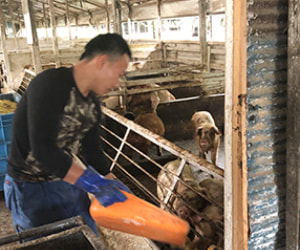 技能実習生＿受け入れ企業で働く＿三重県M様