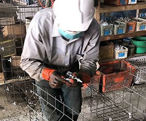 技能実習生＿受け入れ企業で働く＿新潟県A社様