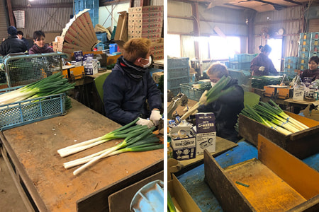 外国人技能実習生＿大分の管理組合プラスシーファクトリー協同組合＿2020年12月