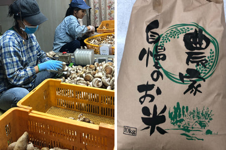 外国人技能実習生＿大分の管理組合プラスシーファクトリー協同組合＿2020年10月新潟のA様の農園