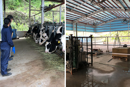 外国人技能実習生＿大分の管理組合プラスシーファクトリー協同組合＿2020年7月