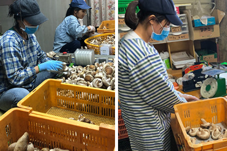 外国人技能実習生＿大分の管理組合プラスシーファクトリー協同組合＿2020年3月新潟県のA社